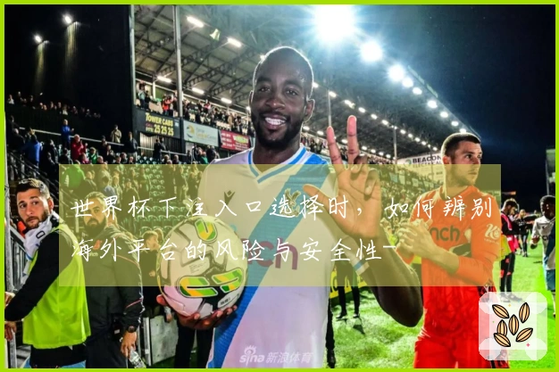 世界杯下注入口选择时，如何辨别海外平台的风险与安全性-