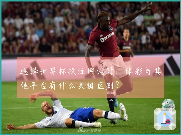 选择世界杯投注网站时，体彩与其他平台有什么关键区别？