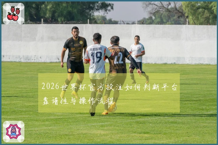 2026世界杯官方投注如何判断平台靠谱性与操作流程