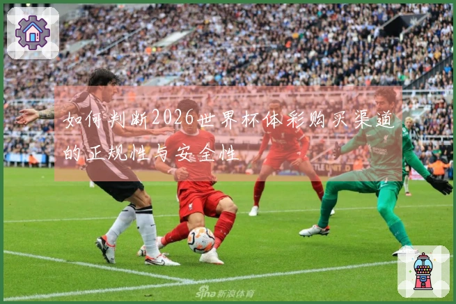 如何判断2026世界杯体彩购买渠道的正规性与安全性