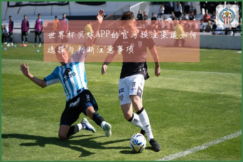世界杯买球APP的官方投注渠道如何选择与判断注意事项