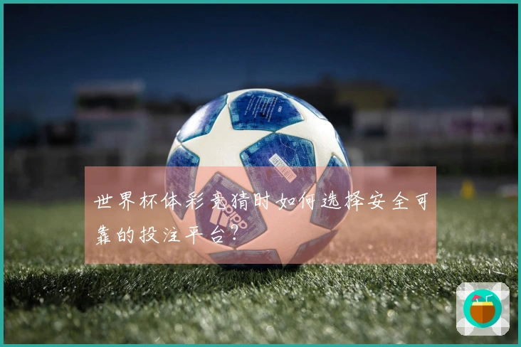 世界杯体彩竞猜时如何选择安全可靠的投注平台？