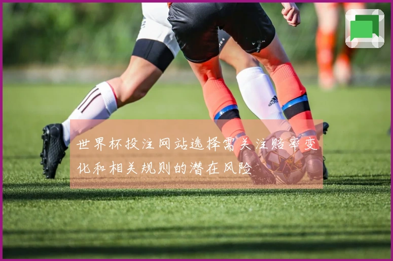 世界杯投注网站选择需关注赔率变化和相关规则的潜在风险