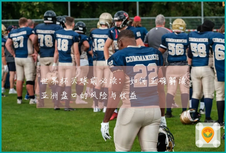 世界杯买球前必读：如何正确解读亚洲盘口的风险与收益