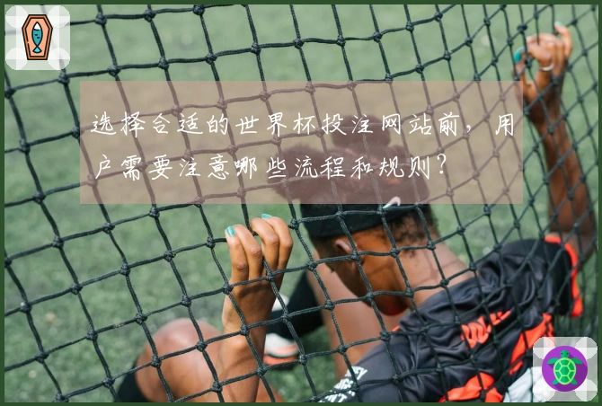 选择合适的世界杯投注网站前,用户需要注意哪些流程和规则?
