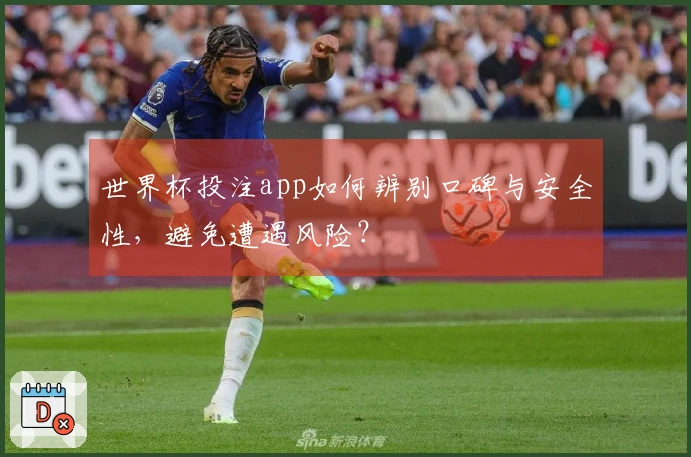 世界杯投注app如何辨别口碑与安全性，避免遭遇风险？