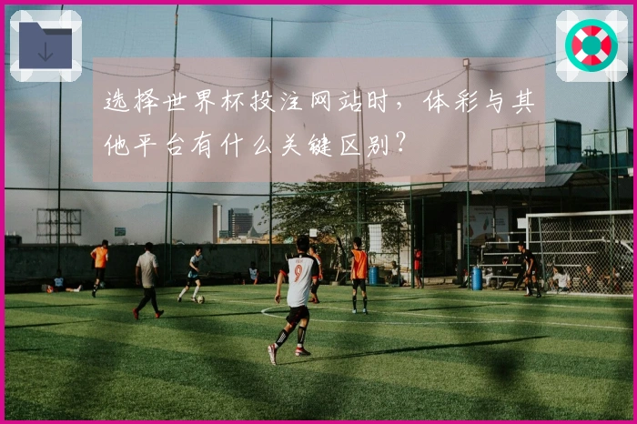 选择世界杯投注网站时,体彩与其他平台有什么关键区别?