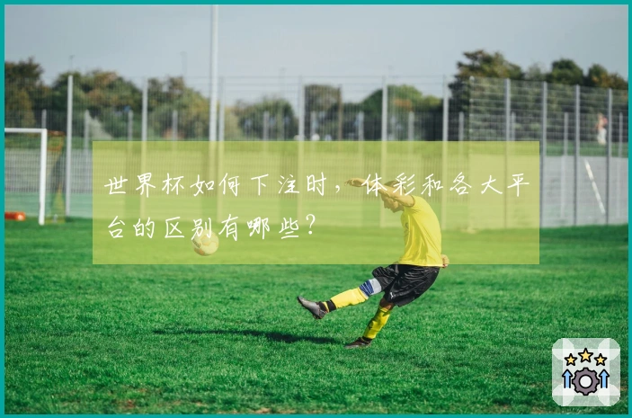 世界杯如何下注时，体彩和各大平台的区别有哪些？