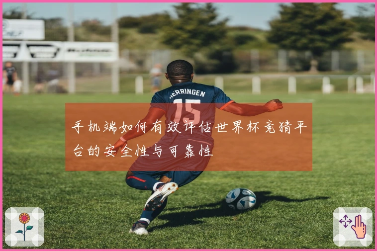 手机端如何有效评估世界杯竞猜平台的安全性与可靠性