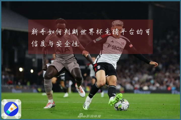 新手如何判断世界杯竞猜平台的可信度与安全性