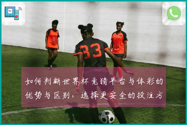 如何判断世界杯竞猜平台与体彩的优势与区别，选择更安全的投注方式？