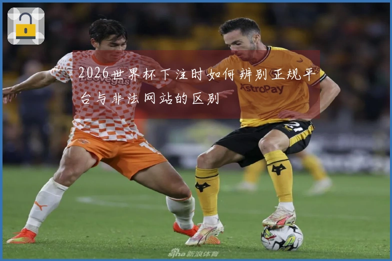 2026世界杯下注时如何辨别正规平台与非法网站的区别