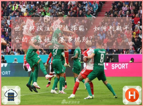世界杯投注APP选择前，如何判断平台的可靠性和赛事规则？