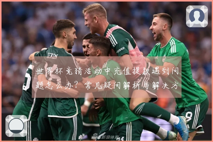 世界杯竞猜活动中充值提款遇到问题怎么办？常见疑问解析与解决方案