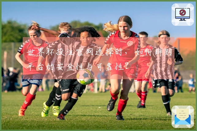 世界杯投注官网选择时，如何辨别平台的安全性与可靠性？