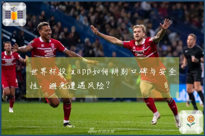 世界杯投注app如何辨别口碑与安全性，避免遭遇风险？