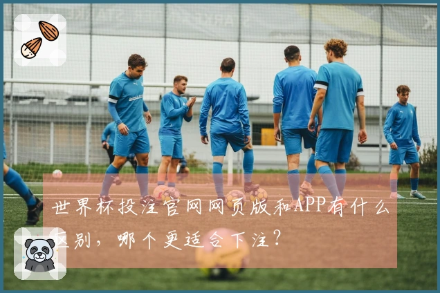 世界杯投注官网网页版和APP有什么区别，哪个更适合下注？