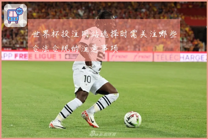 世界杯投注网站选择时需关注哪些合法合规的注意事项