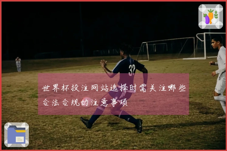 世界杯投注网站选择时需关注哪些合法合规的注意事项