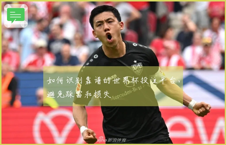 如何识别靠谱的世界杯投注平台，避免踩雷和损失
